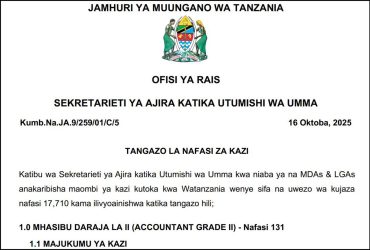 Nafasi Mpya za Kazi MDAs LGAs October 2025
