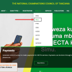 kuangaia matokeo ya darasa la sababu kupitia tovuti ya NECTA