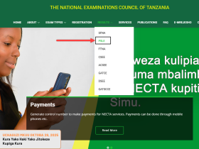 kuangaia matokeo ya darasa la sababu kupitia tovuti ya NECTA
