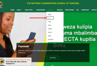 kuangaia matokeo ya darasa la sababu kupitia tovuti ya NECTA