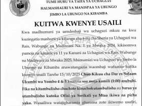 ubungo na kibamba