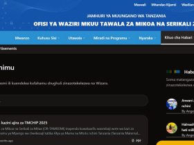 muonekano wa tovuti ya tamisemi