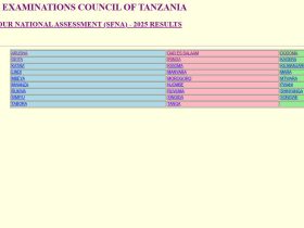 Matokeo ya Darasa La Nne 2025 Kimkoa