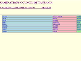 Matokeo ya Darasa la Nne 2025 2026 NECTA SFNA Results