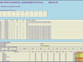 Muonekano wa Ukurasa wa Matokeo ya Kidato Cha Pili necta