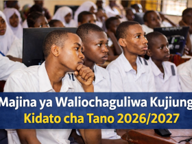 Majina ya Waliochaguliwa Kujiunga Kidato cha Tano 2026 2027